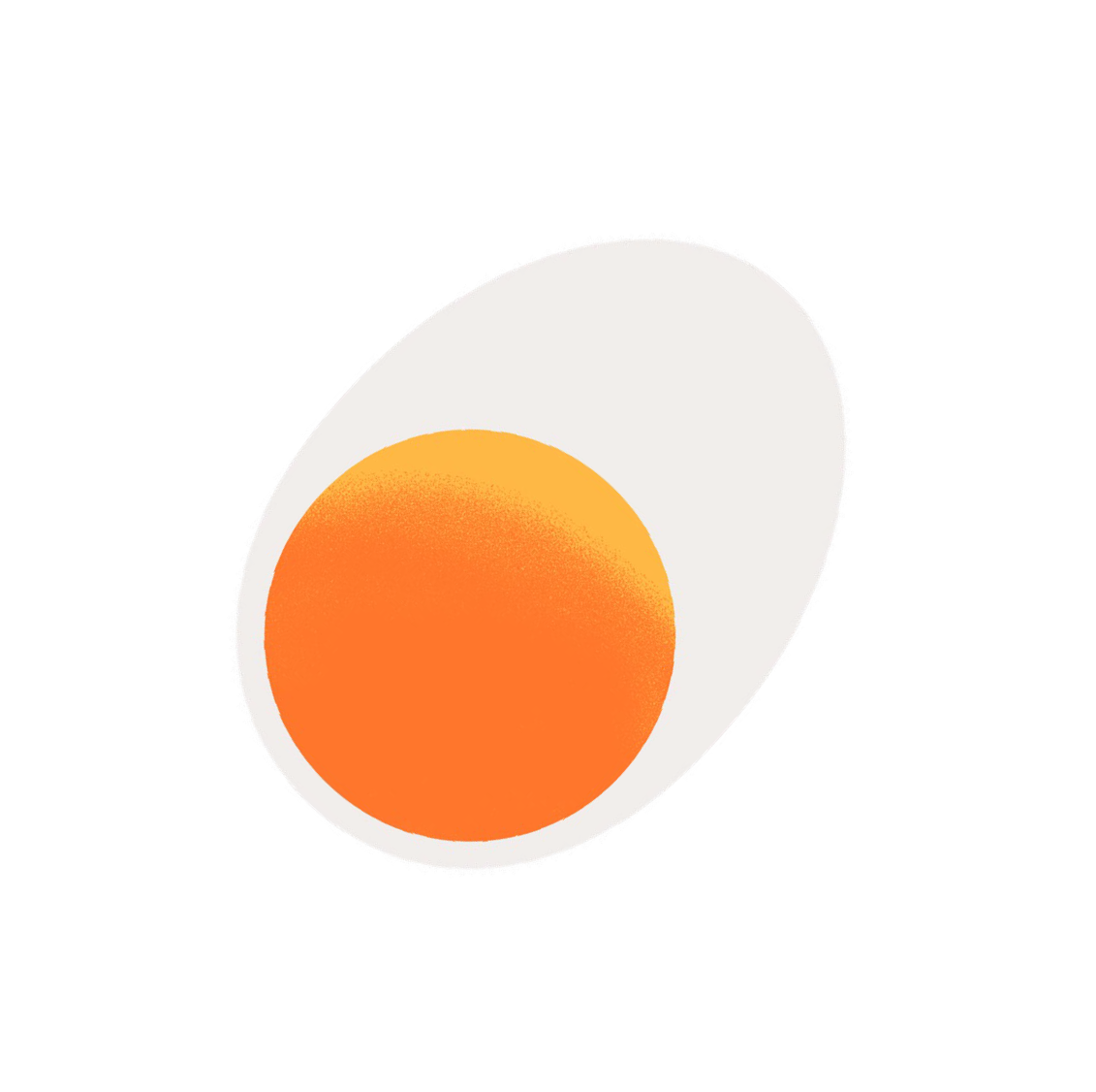 fried egg